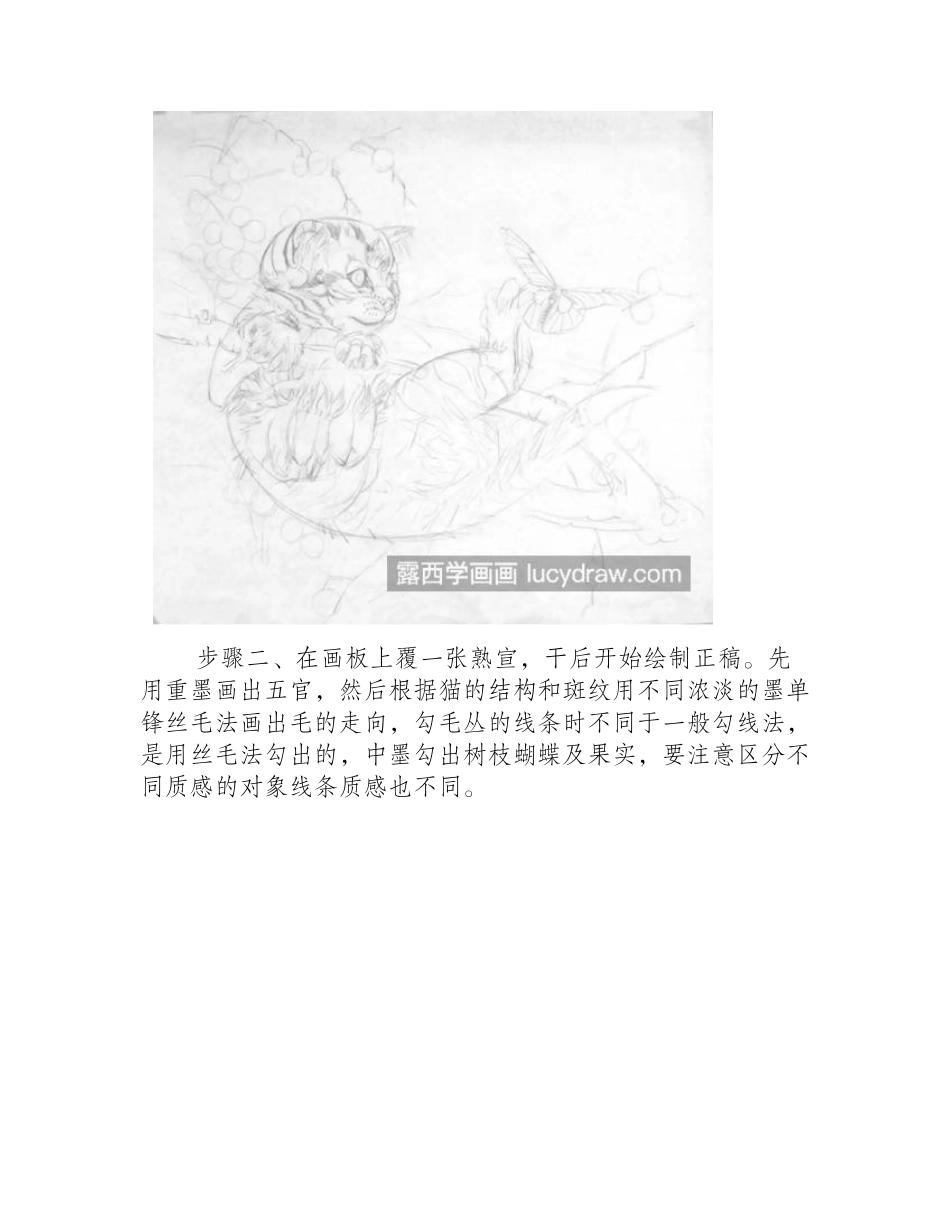 猫戏蝶图怎么画_如何画生动的小猫咪_工笔画教程_第2页