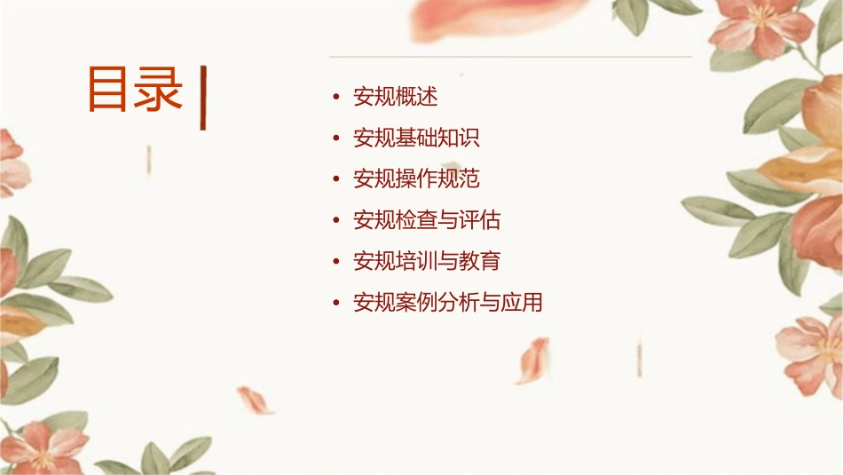 安规的基本知识课件_第2页