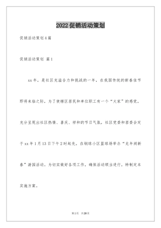 2024促销活动策划_2