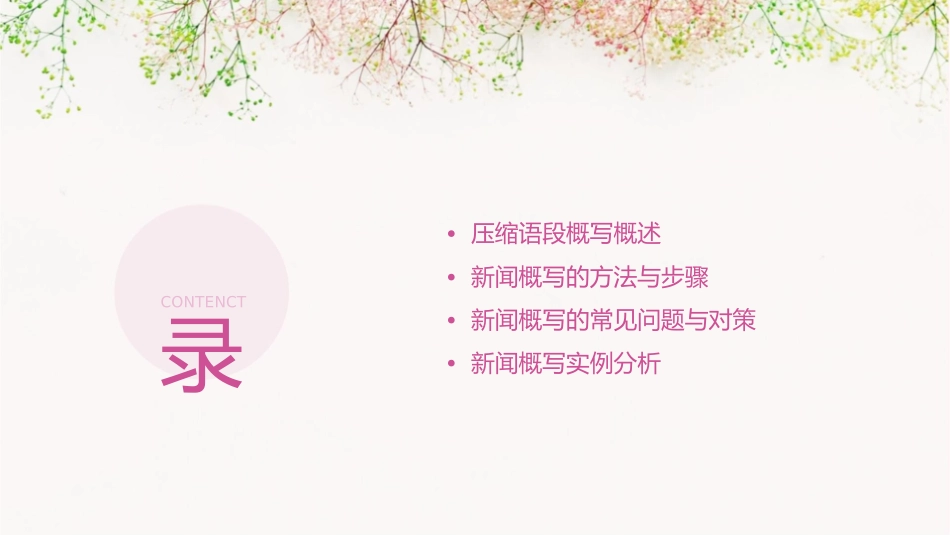 压缩语段新闻概写课件_第2页