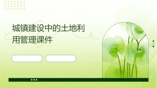 城镇建设中的土地利用管理课件