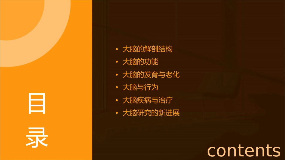 大脑结构功能课件_第2页