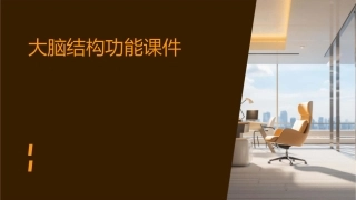 大脑结构功能课件