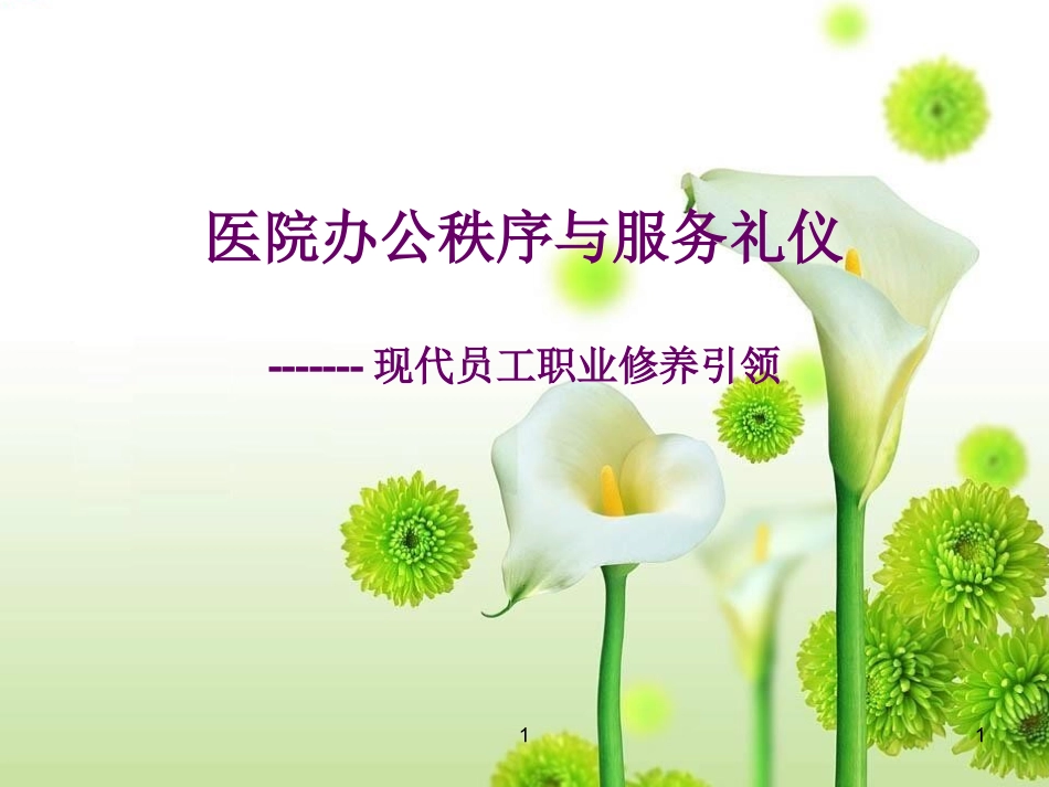 医院礼仪与办公秩序_第1页