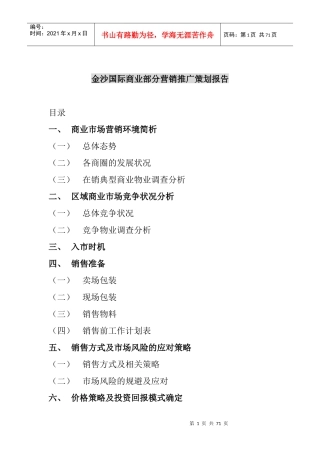 金沙国际商业部分营销推广策划报告