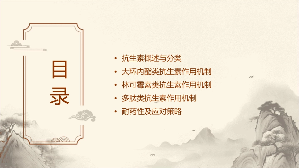 大环内酯类林可霉素类及多肽类抗生素作用机制课件_第2页