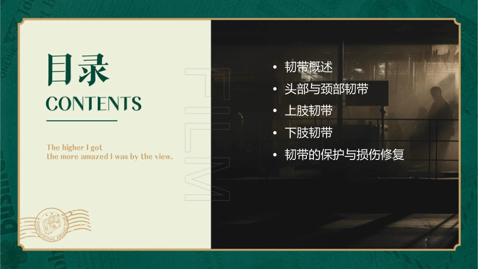 全身主要韧带课件_第2页