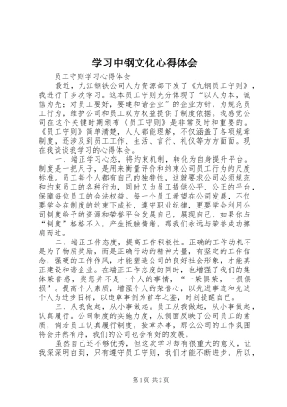 学习中钢文化心得体会 