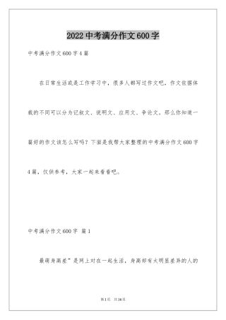 2024中考满分作文600字_132