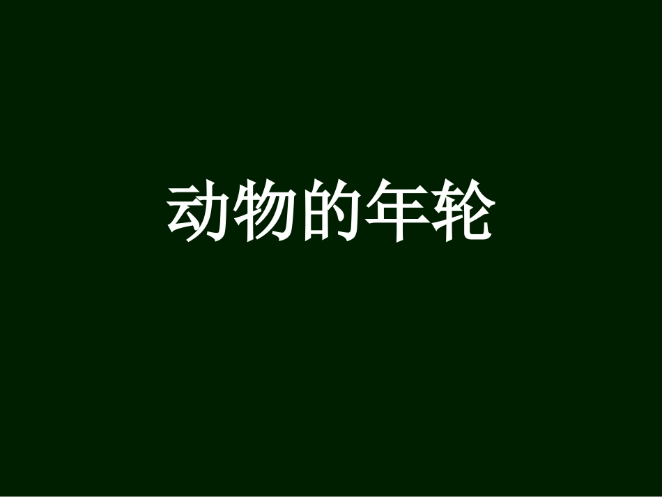 动物的年龄1_第1页