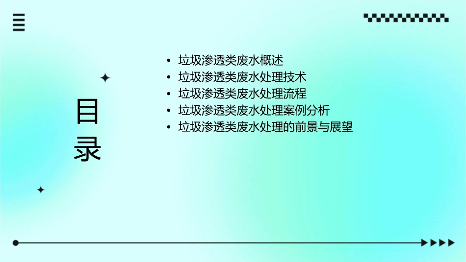 垃圾渗透类废水处理课件_第2页