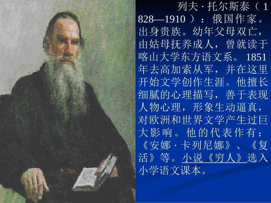 孔丽萍穷人11课件_第2页