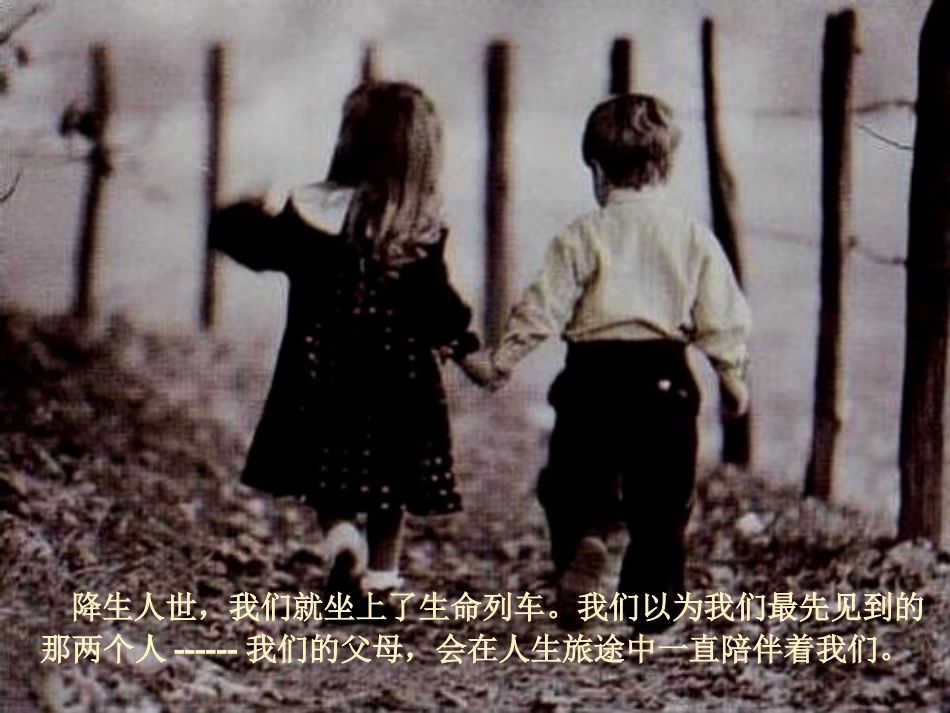 生命列车PPT_第3页