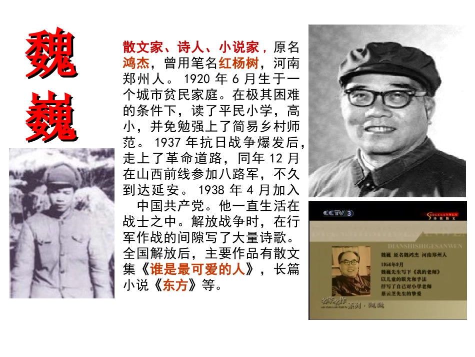 我的老师魏巍_第2页