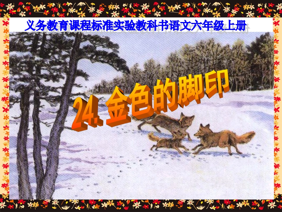 《金色的脚印》课件_第1页