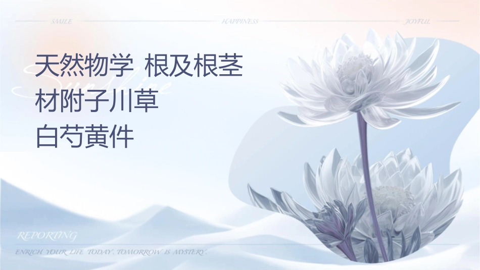 天然药物学 根及根茎类药材附子川乌草乌白芍黄连护理课件_第1页