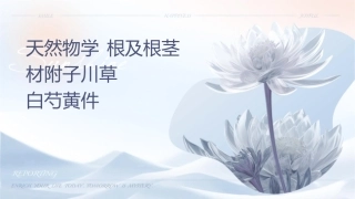 天然药物学 根及根茎类药材附子川乌草乌白芍黄连护理课件