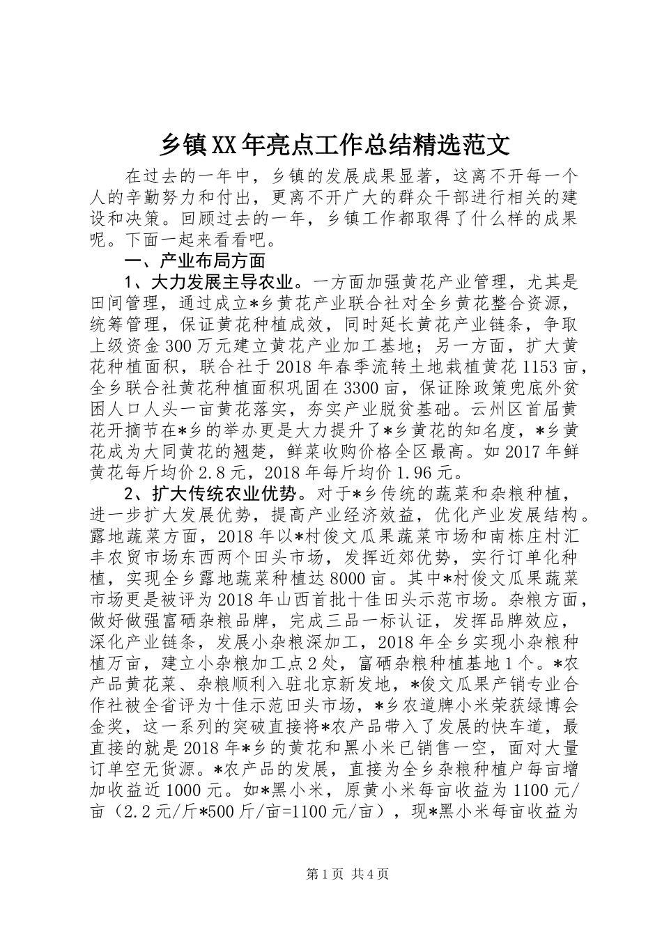 乡镇XX年亮点工作总结精选范文_第1页