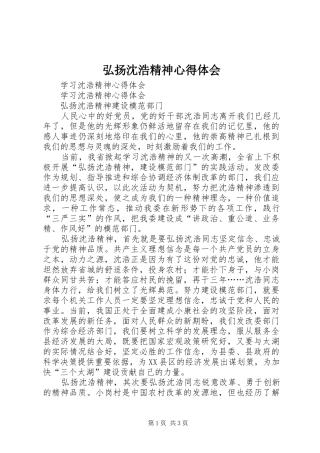 弘扬沈浩精神心得体会 