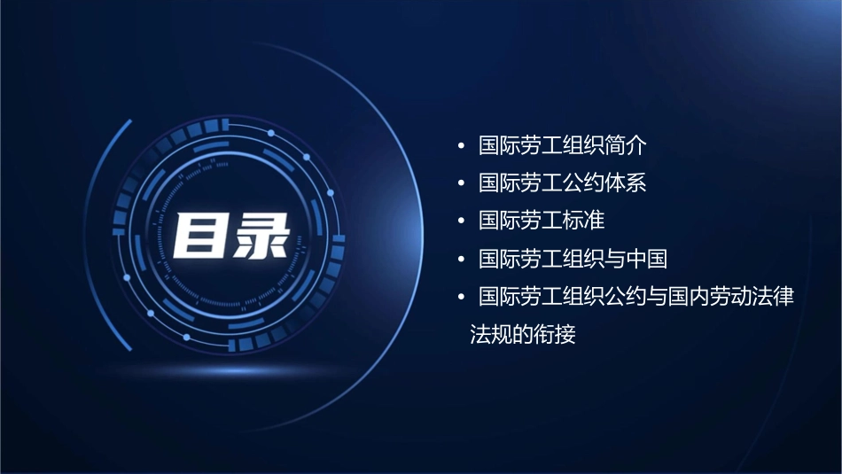 国际劳工组织公约通用课件_第2页