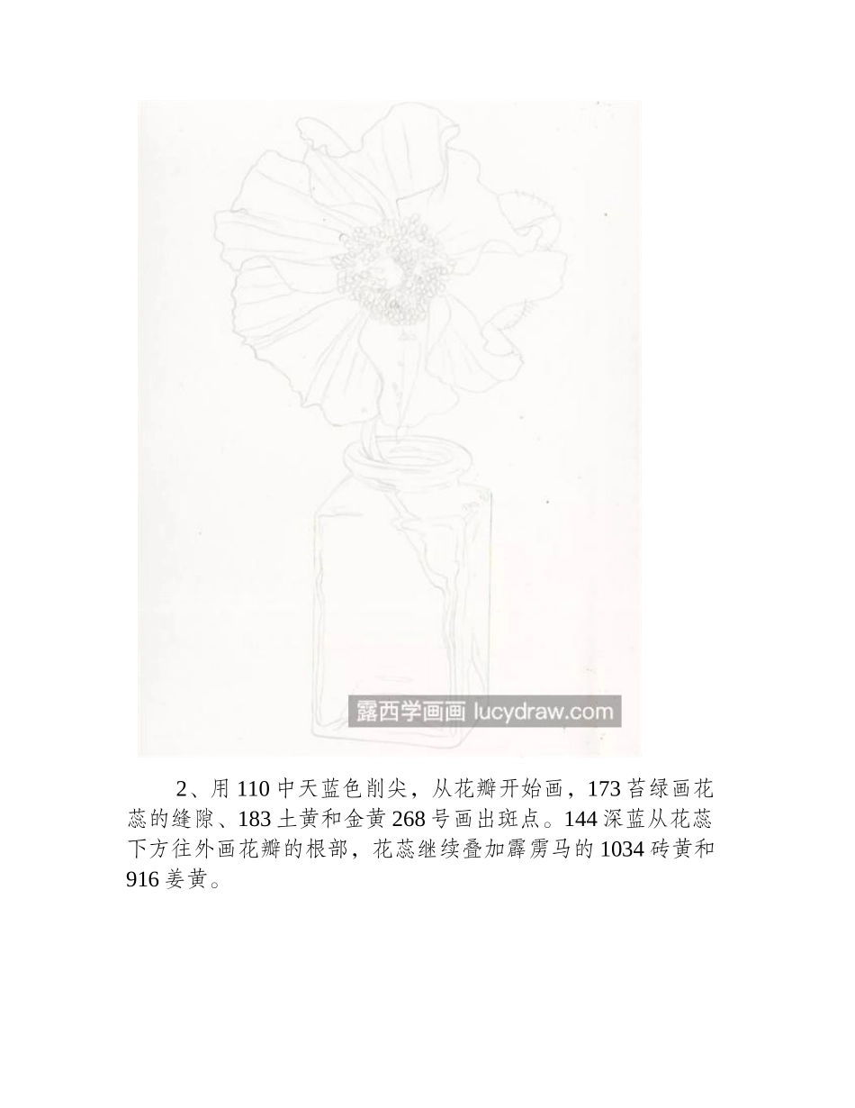 绿绒蒿怎么画_详细的绘画过程是什么_彩铅画教程_第2页