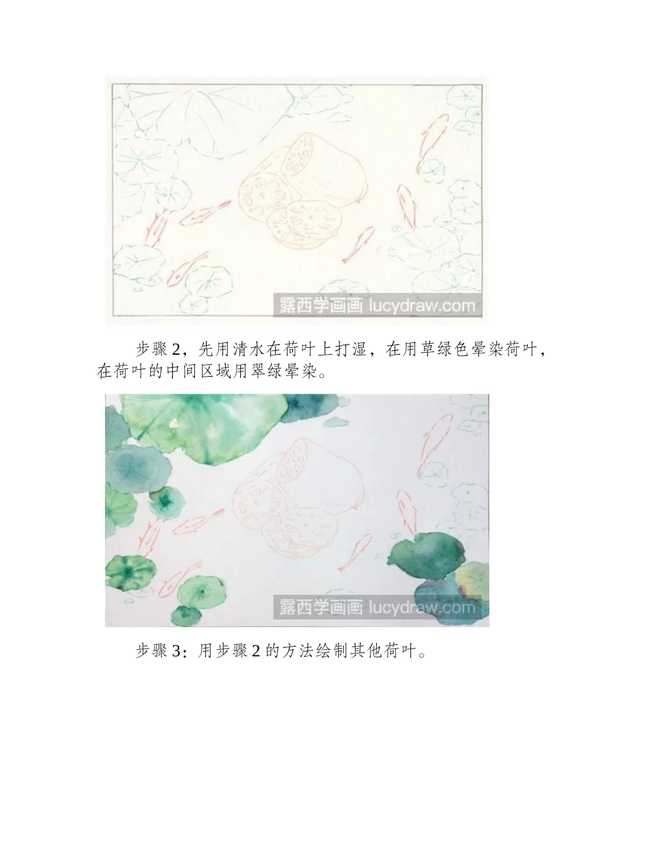 莲藕水彩画法水彩画教程_第2页