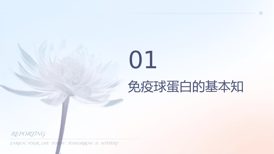 医学免疫学 免疫球蛋白护理课件_第3页