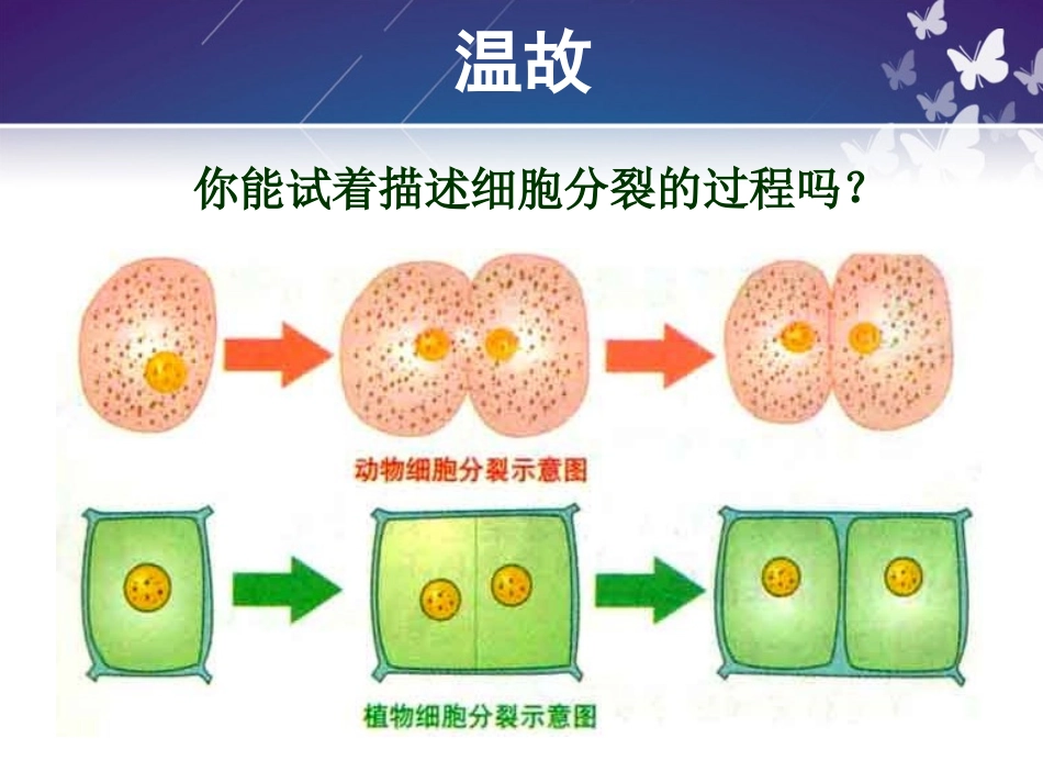 细胞分化形成组织（朱真义）_第2页