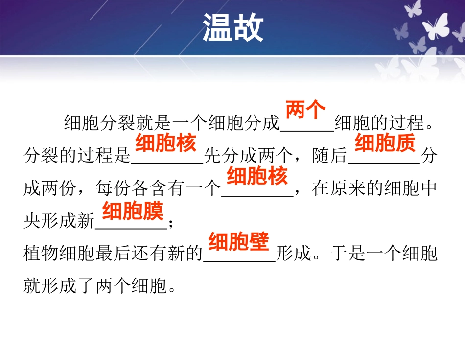 细胞分化形成组织（朱真义）_第3页