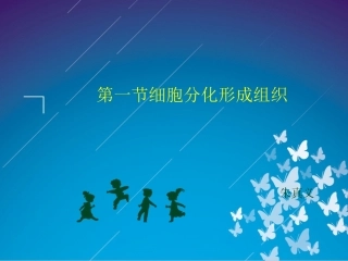 细胞分化形成组织（朱真义）