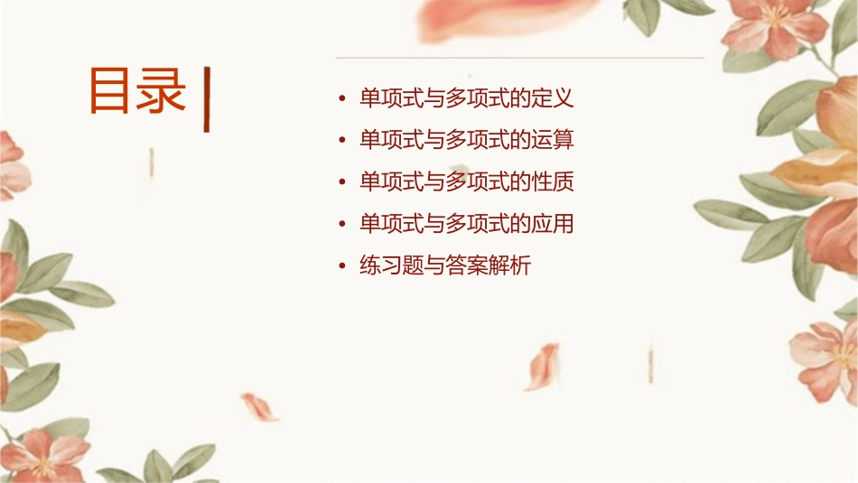 单项式与多项式通用课件_第2页