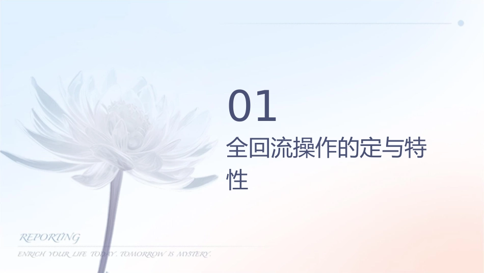 全回流操作的意义课件_第3页