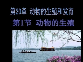 苏科版八年级生物201动物的生殖