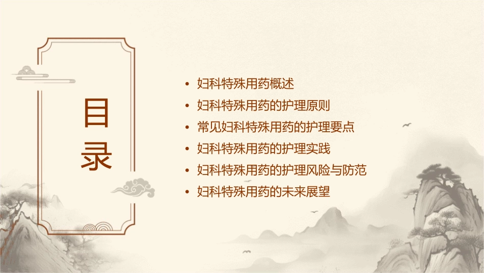 妇科特殊用药护理课件_第2页