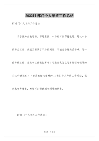 2024IT部门个人年终工作总结