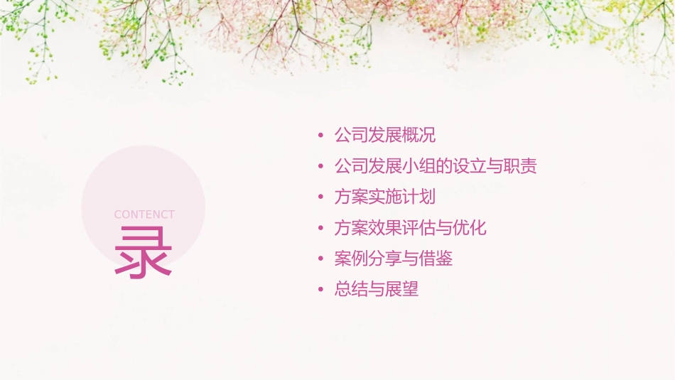 公司发展小组方案课件_第2页