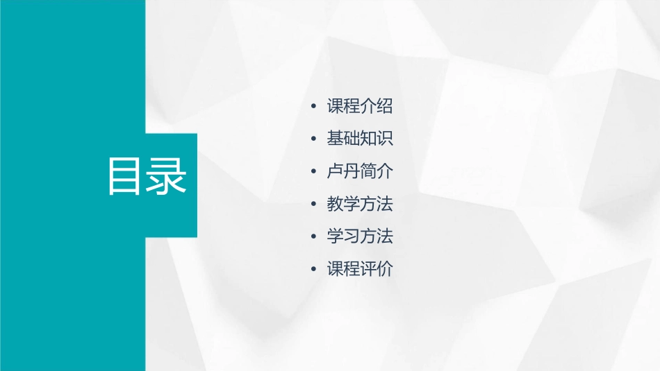 基础知识卢丹课件_第2页