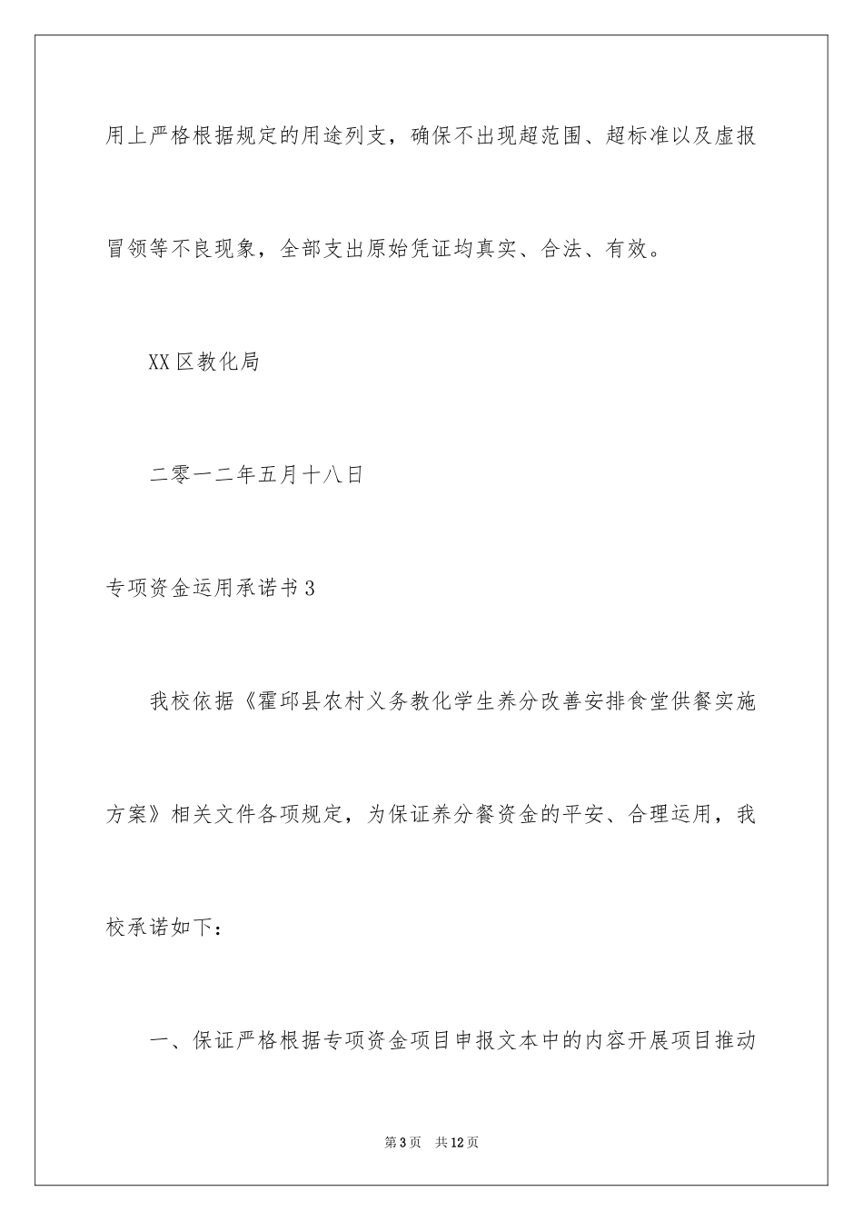 2024专项资金使用承诺书_第3页