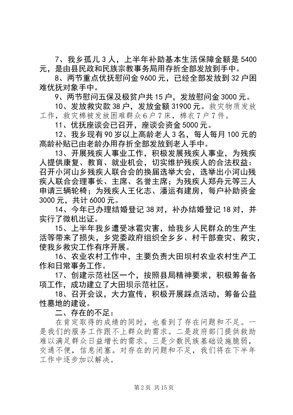 乡社会事务办半年工作总结(精选多篇)_第2页
