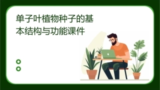 单子叶植物种子的基本结构与功能课件