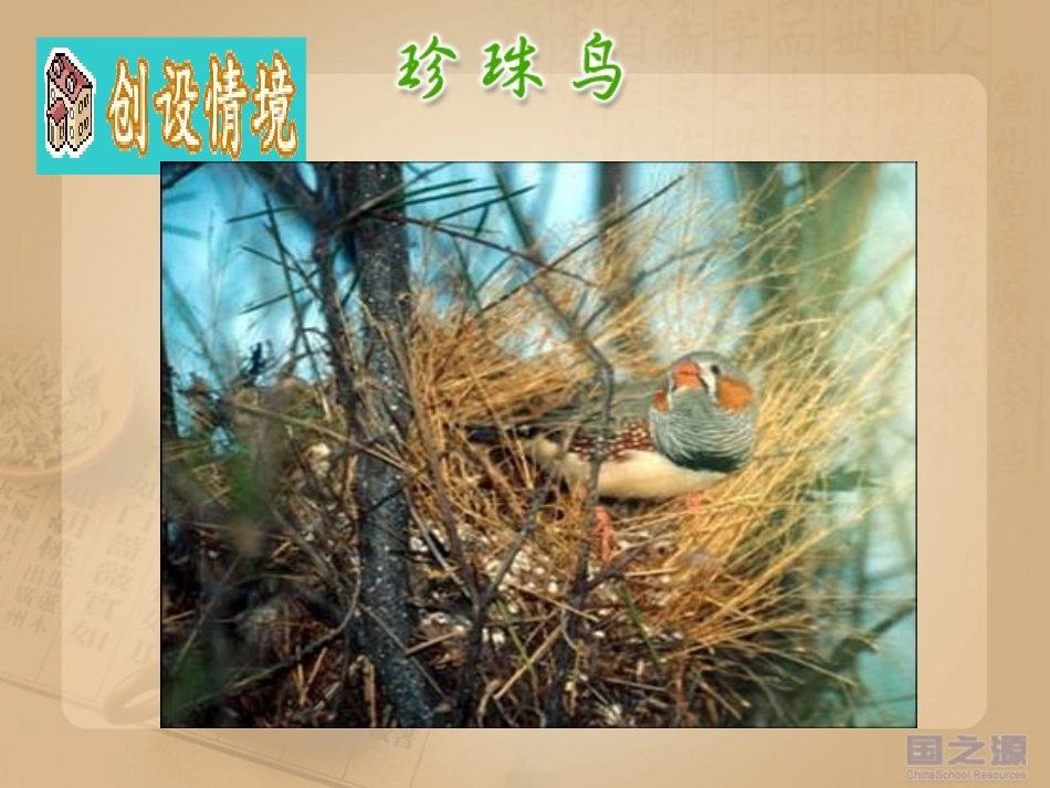 人教版五上珍珠鸟 (2)_第2页