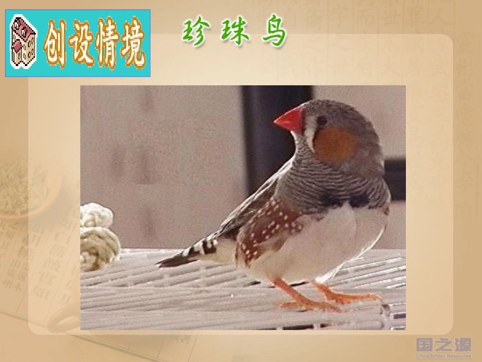 人教版五上珍珠鸟 (2)_第3页