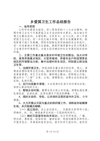 乡爱国卫生工作总结报告 (2)