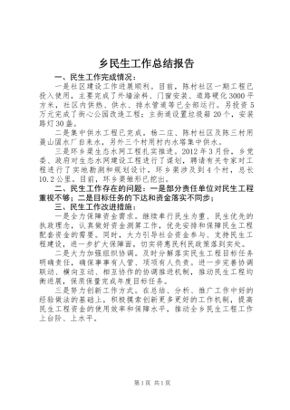 乡民生工作总结报告
