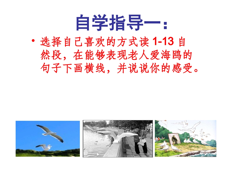 老人与海鸥课件 (4)_第2页