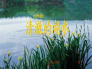 清澈的湖水PPT课件