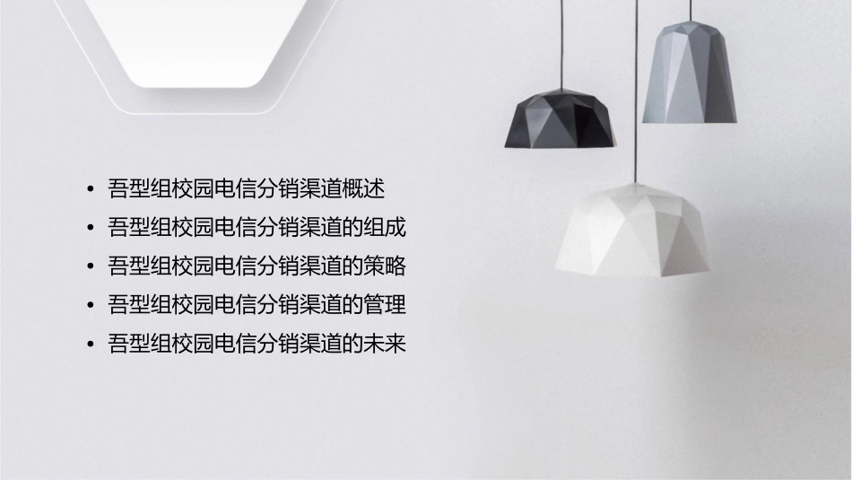 吾型组校园电信分销渠道课件_第2页