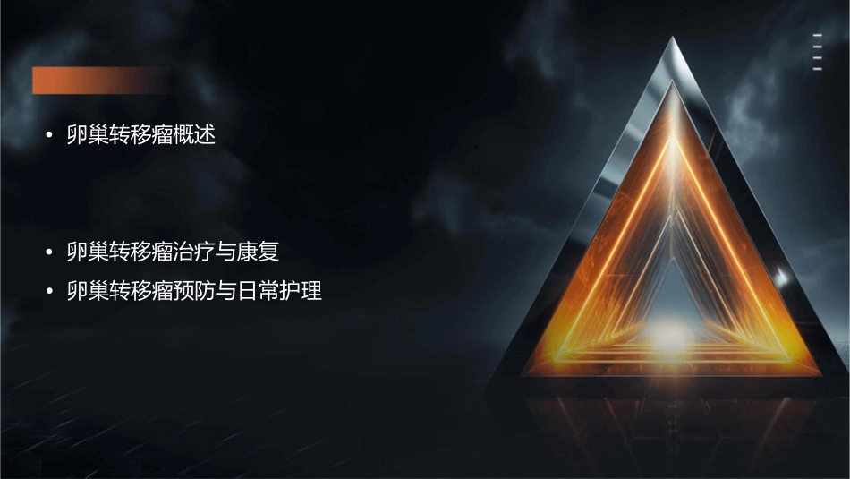 卵巢转移瘤影像诊断护理课件_第2页