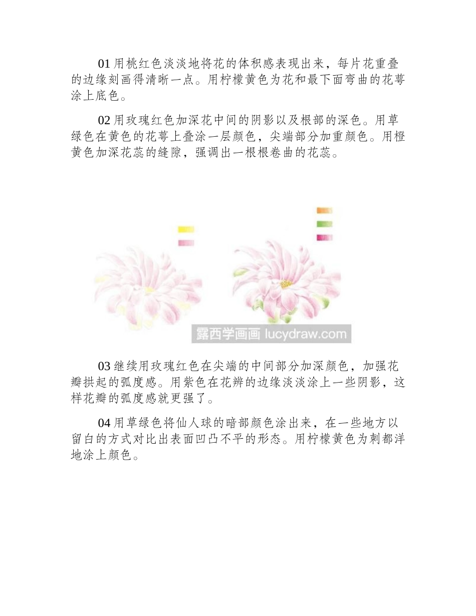 开花的仙人球彩铅画教程彩铅画教程_第2页