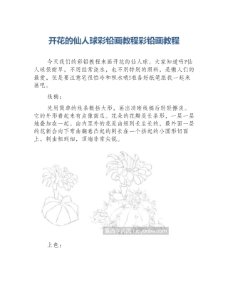 开花的仙人球彩铅画教程彩铅画教程